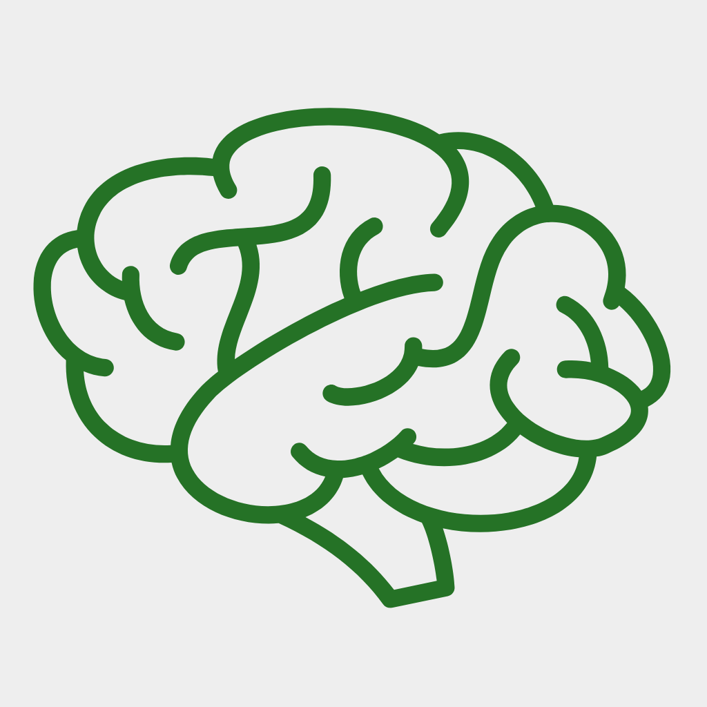 Cognitive & Mental Health